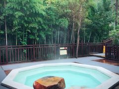 -天目湖涵田半山温泉