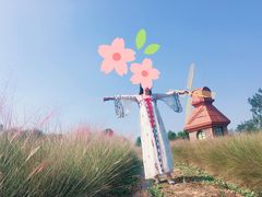 -杭州湾海上花田景区