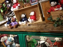 -济州岛泰迪熊博物馆