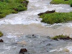 -新疆那拉提国家旅游度假区