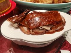-大铁勺新津菜(熙悦汇店)