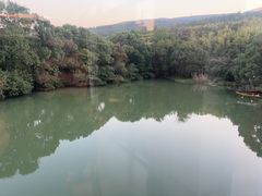 -张鸟园农家乐(张鸟园店)