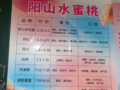 -老袁家蜜桃农场·阳山水蜜桃