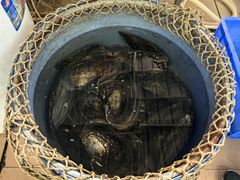 -西江河鲜·趣苑酒楼(鼎湖店)