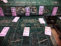 -荔城生鲜盛宴(番禺旗舰店)