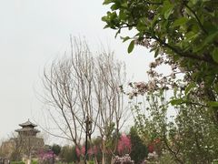 -水西公园