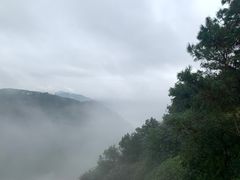 -铁山坪森林公园