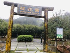 -乳源丽宫国际温泉酒店