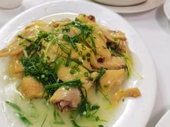 -新陶陶酒家