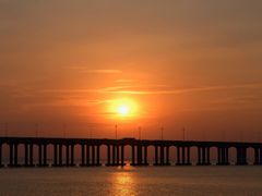 -宝安西湾红树林湿地公园