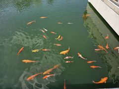 -威海华夏城景区