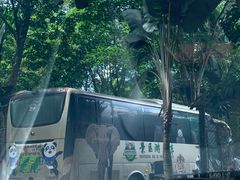 -海南热带野生动植物园