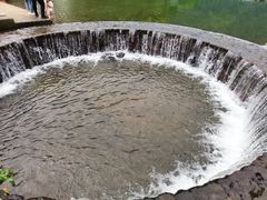 -鹿亭中村