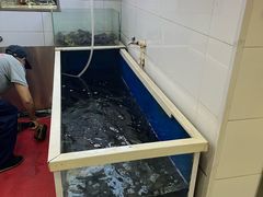 -活鱼馆(宜兴埠店)