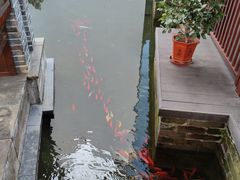 -广富林宰相府酒店·水云间