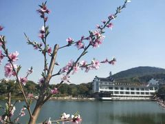 -桃花岛景观公园