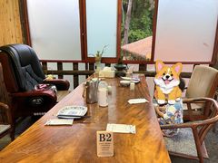 -小小饭店·休闲农庄·安吉松树林里的农家菜