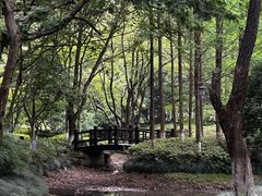 -杭州半山国家森林公园