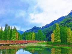 -广州市石门国家森林公园