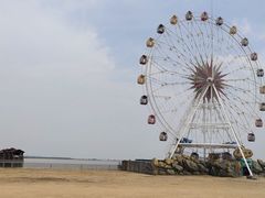-奉贤海滩