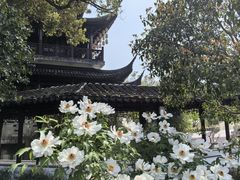 -盘门景区