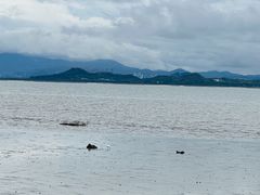 -深圳湾公园(南山区)