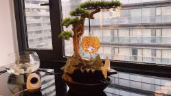 -溢美古法抗衰