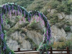 -灵溪风景区
