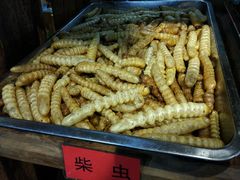 -昆虫窝子·特色云南菜(拓东路总店)