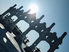 -呼兰河口湿地公园