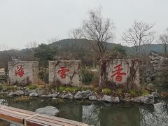 -香雪海