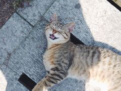 -苏州河梦清园环保主题公园