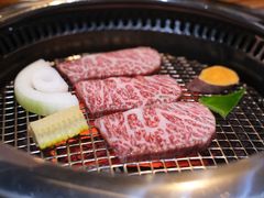 -观品和牛