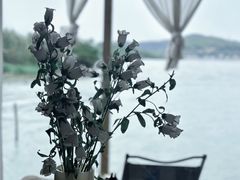 -东钱湖旅游度假区