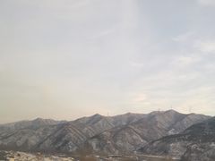 -山城家常菜铁锅炖鱼