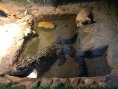 12-上海大自然野生昆虫馆