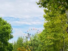 -上海野生动物园