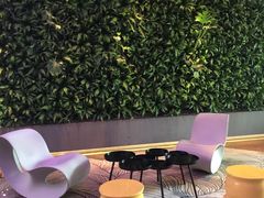 -上海外滩英迪格酒店