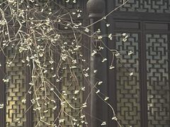 -圆通寺