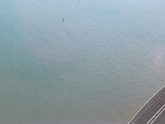 -演武大桥观景平台