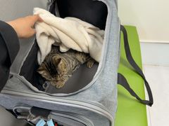 -达爱动物医院·犬猫分区·CT·复杂眼科(远洋山水分院)