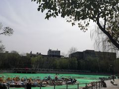 -莲湖公园