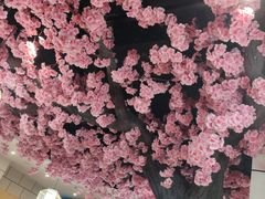 -九田家黑牛烤肉料理·自助(洪洞县城市花园店)