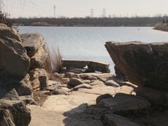 -大港湿地公园
