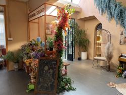 点击看大图 -七色田儿童摄影(静安店)