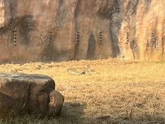 -武汉动物园