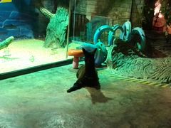 -zoonana室内动物园(东方福来德店)