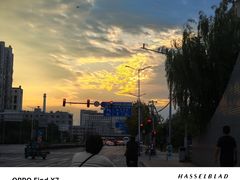 -康庄公园