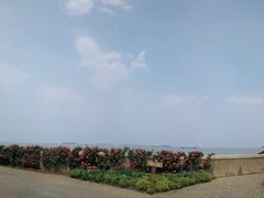 -上海滨江森林公园
