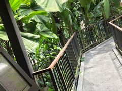 -植物园哈利亚餐厅